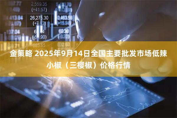 金策略 2025年9月14日全国主要批发市场低辣小椒（三樱椒）价格行情