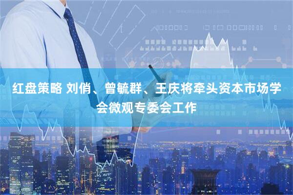 红盘策略 刘俏、曾毓群、王庆将牵头资本市场学会微观专委会工作