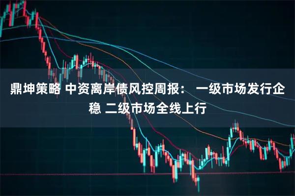 鼎坤策略 中资离岸债风控周报： 一级市场发行企稳 二级市场全线上行