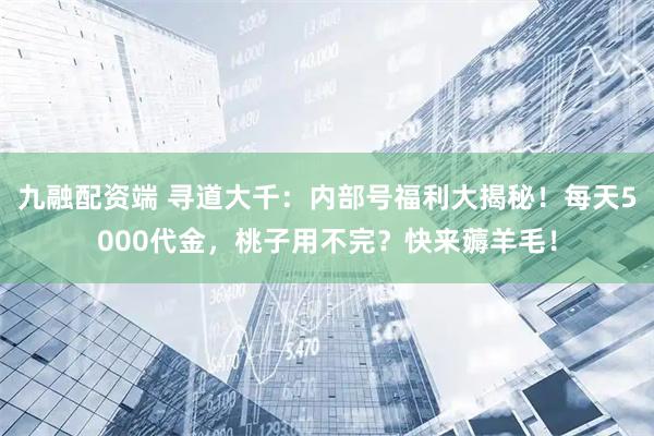 九融配资端 寻道大千：内部号福利大揭秘！每天5000代金，桃子用不完？快来薅羊毛！
