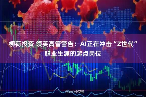 柳荷投资 领英高管警告：AI正在冲击“Z世代”职业生涯的起点岗位