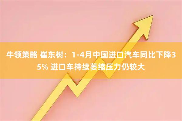 牛领策略 崔东树：1-4月中国进口汽车同比下降35% 进口车持续萎缩压力仍较大