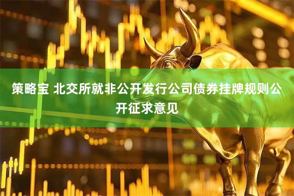 策略宝 北交所就非公开发行公司债券挂牌规则公开征求意见